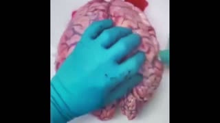 Daddy Goat 24/7 - Out Of Context Memes & Videos