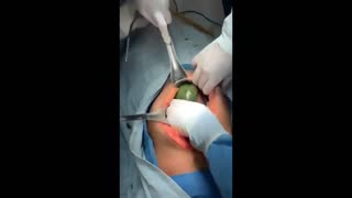 Daddy Goat 24/7 - Out Of Context Memes & Videos