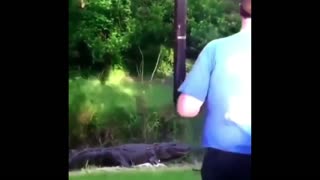 Daddy Goat 24/7 - Out Of Context Memes & Videos