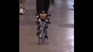 Daddy Goat 24/7 - Out Of Context Memes & Videos