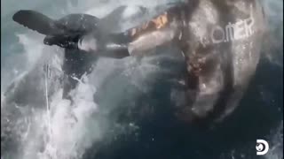 Daddy Goat 24/7 - Out Of Context Memes & Videos