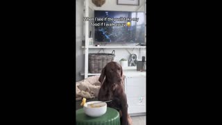 Daddy Goat 24/7 - Out Of Context Memes & Videos