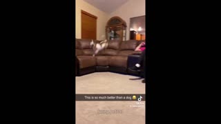 Daddy Goat 24/7 - Out Of Context Memes & Videos