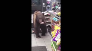 Daddy Goat 24/7 - Out Of Context Memes & Videos