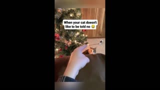 Daddy Goat 24/7 - Out Of Context Memes & Videos
