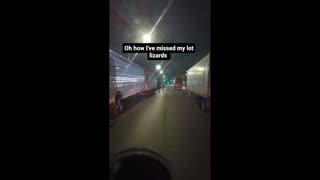 Daddy Goat 24/7 - Out Of Context Memes & Videos