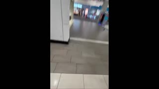 Daddy Goat 24/7 - Out Of Context Memes & Videos