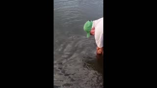 Daddy Goat 24/7 - Out Of Context Memes & Videos