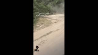 Daddy Goat 24/7 - Out Of Context Memes & Videos