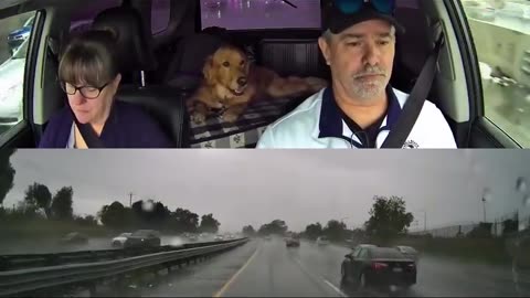 Her Explicit Reaction to the Near-Miss Was Appropriate