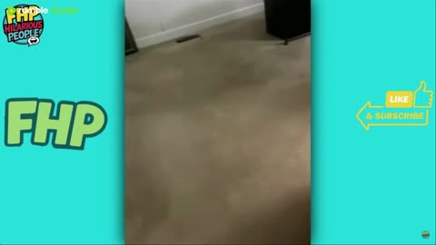 Funny & Hilarious People Life 😆 #298 | TRY NOT TO LAUGH 😂 | Instant Regret Fails Compilation 2025