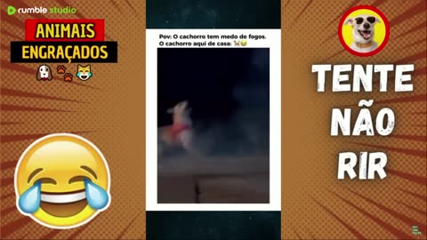 Funny & Hilarious People Life 😆 #298 | TRY NOT TO LAUGH 😂 | Instant Regret Fails Compilation 2025