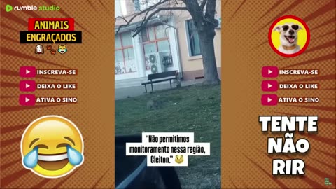 Funny & Hilarious People Life 😆 #298 | TRY NOT TO LAUGH 😂 | Instant Regret Fails Compilation 2025