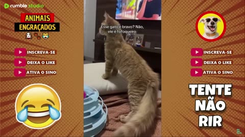 Funny & Hilarious People Life 😆 #298 | TRY NOT TO LAUGH 😂 | Instant Regret Fails Compilation 2025