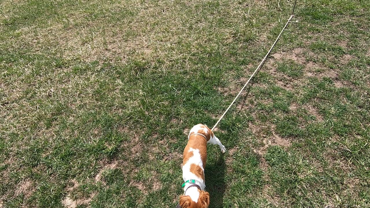 Alee working on the Whoa Post