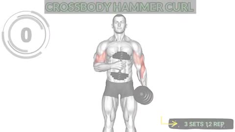 Biceps Workout 6 Best Exercises to build Strong Bicep