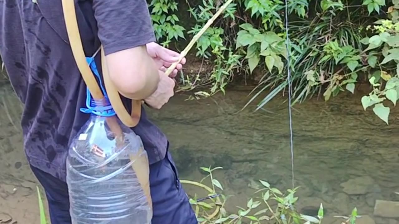 Funny short reel