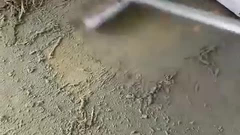 Must Watch: What we Found Underneath our Carpet | 1970s Home Renovation l Viral