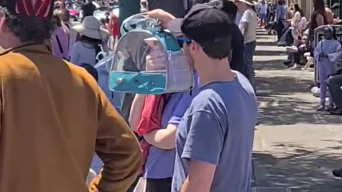 😂🐶 Little Guy Enjoying the Parade [OC] | FunFM