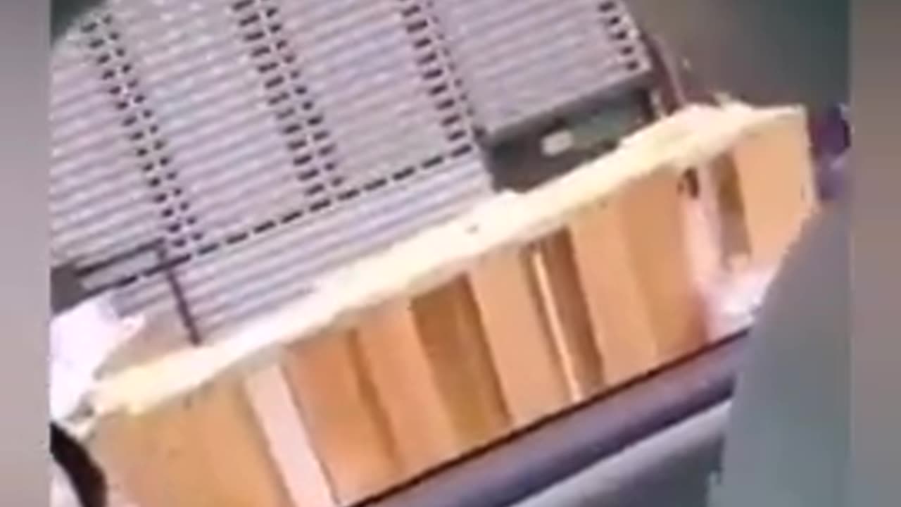 89 All the niggers in the hood say its all good 89 - .mp4