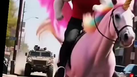 Cat And Unicorn
