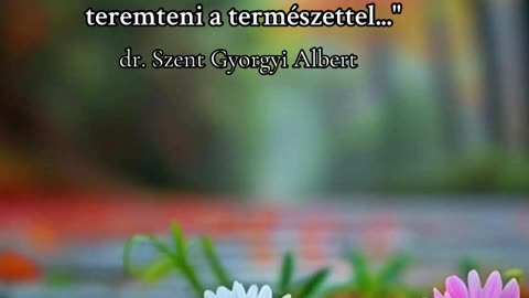dr. Szent Gyorgyi Albert