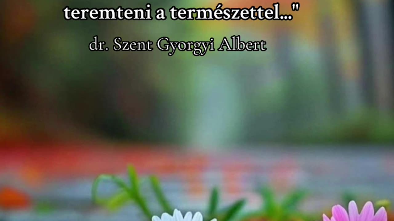 dr. Szent Gyorgyi Albert