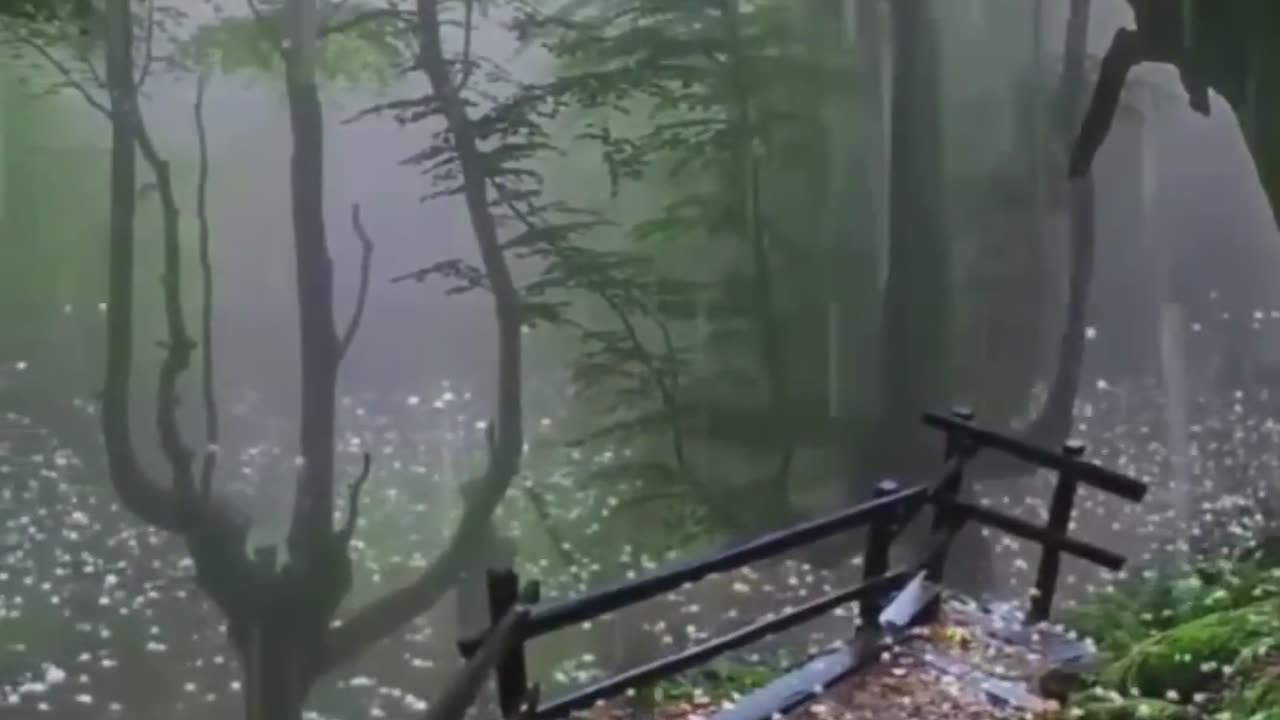 Gently Falling Snow Orbs.