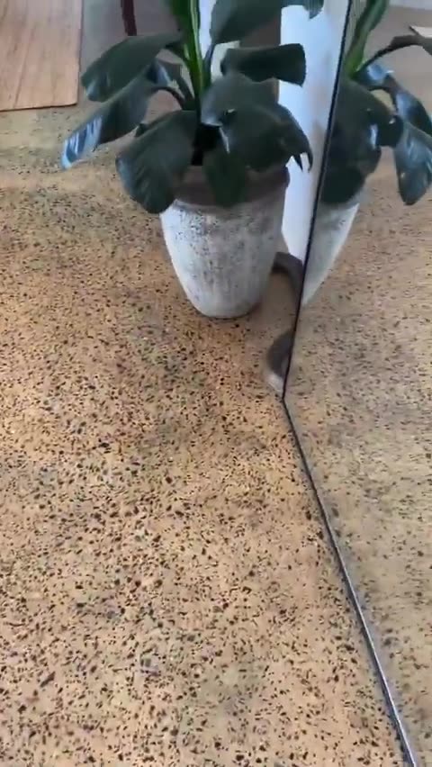 Welcome to Australia 🇦🇺