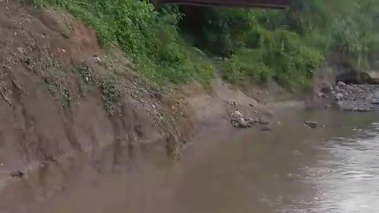 😂🎠 You Won't Believe This Budget Carousel Hack! | FunFM