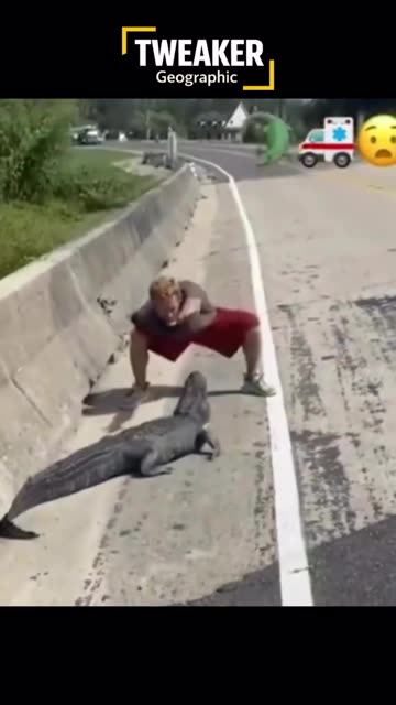 Man confront alligator 🐊...