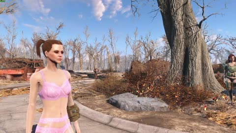 fallout 4 character display part 4