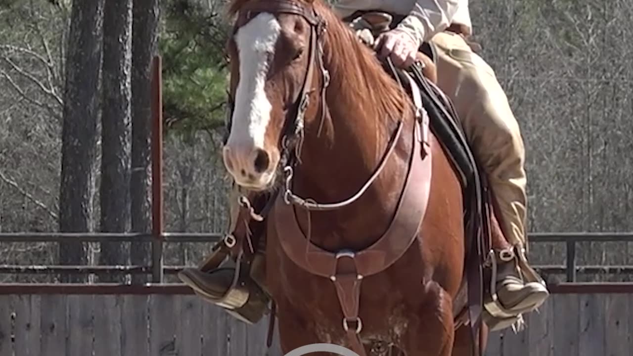 Loping a octagazon.