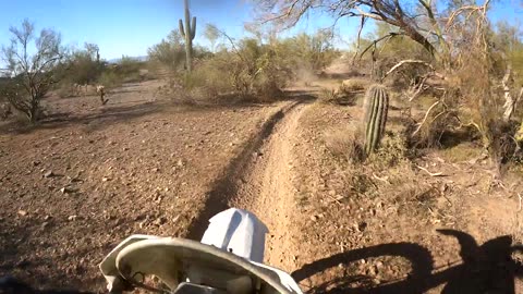 Arizona Singletrack