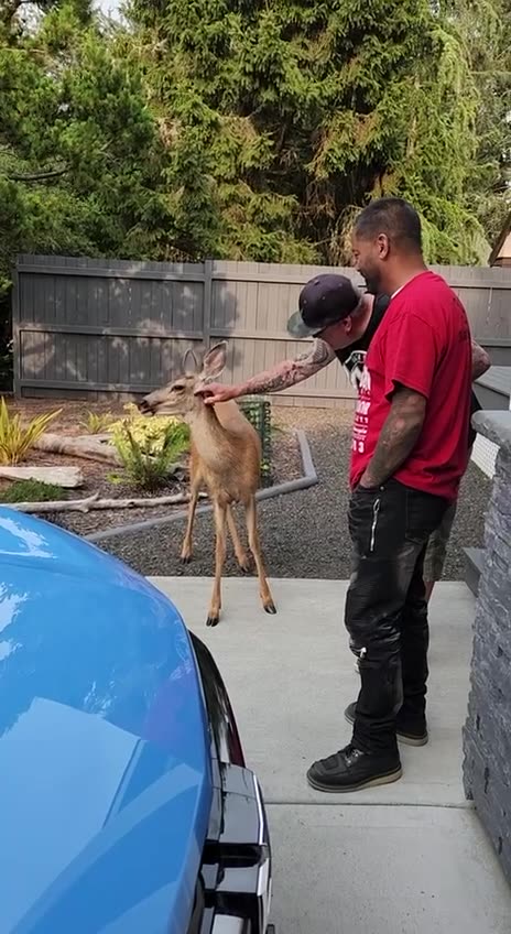 They love animals 🤓