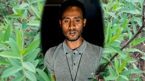 ደሸት #ዮሐንስ ሽፈራው