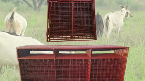 American-Made Small Livestock Panels