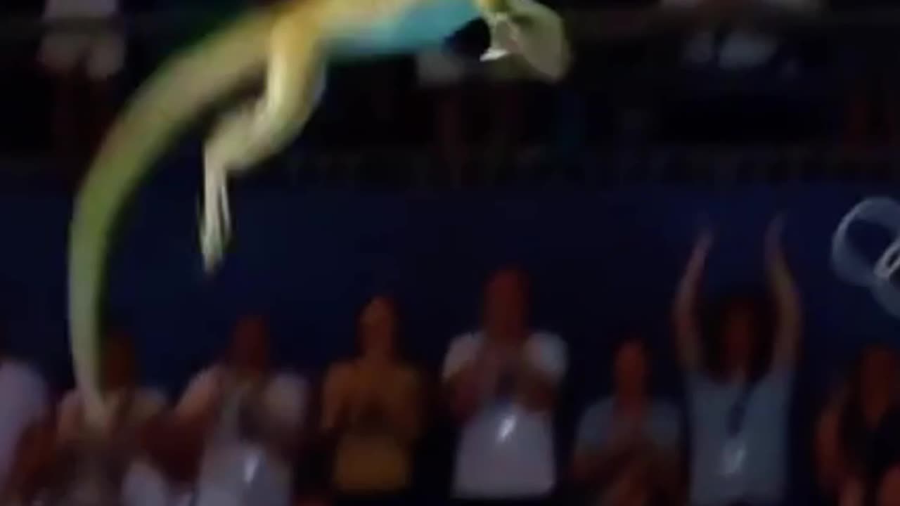 Holy Shit the last one!