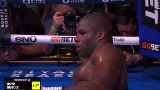 Usyk just knocked Daniel Dubois tf out