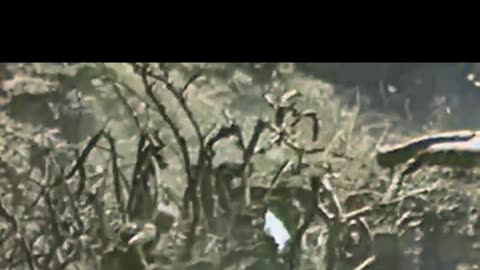 Iwo Jima 1945 US Marines Island Assault Pacific Front #WWIIColourised