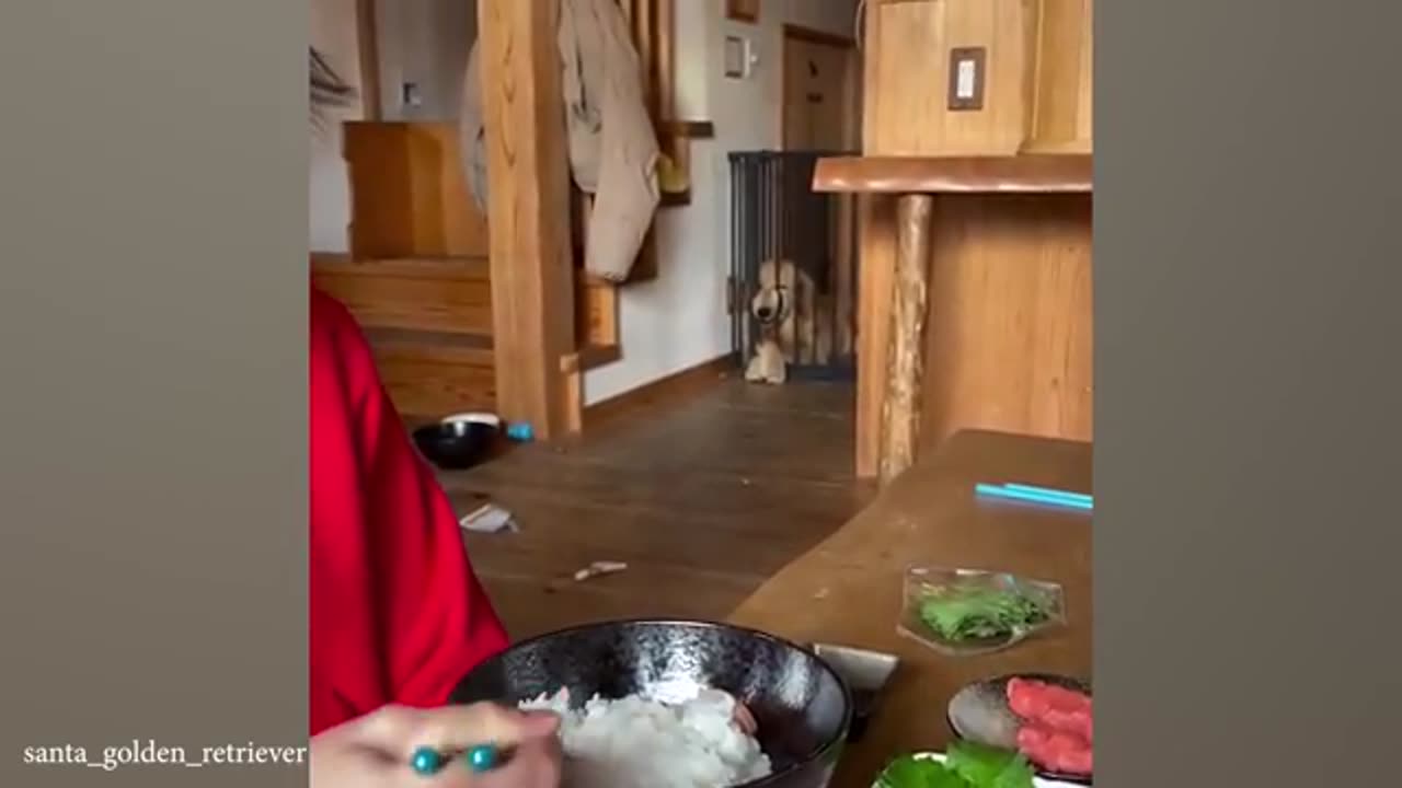 Funny video