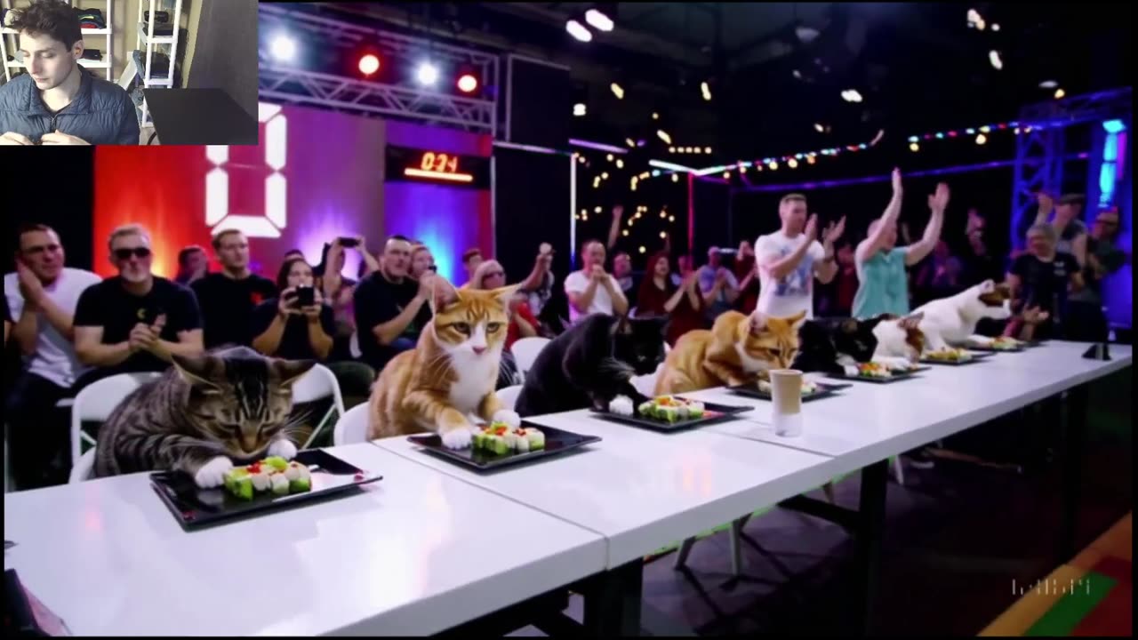 Outtake #1,204 Of The Cats Attempt The Vegan Sushi Eating Contest Fake Funny Parody Video
