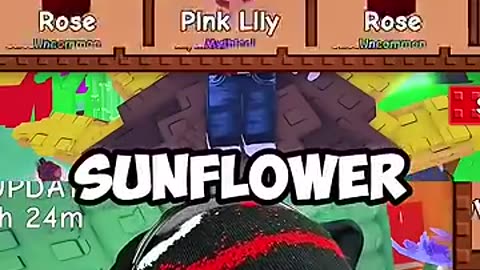 Trending: KreekCraft Gets Rainbow Sunflower in Grow a Garden