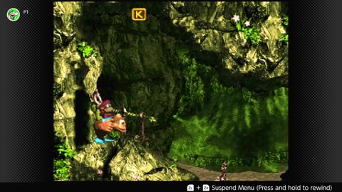 100 Follower Special! Going to 100% The DKC Trilogy on stream! (Pt. 5 Can I Please Be Done Tonight?)