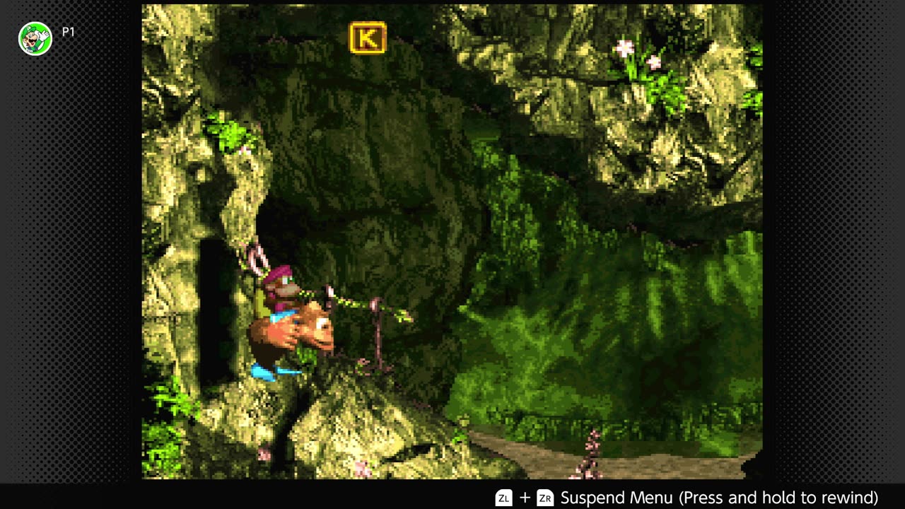 100 Follower Special! Going to 100% The DKC Trilogy on stream! (Pt. 5 Can I Please Be Done Tonight?)