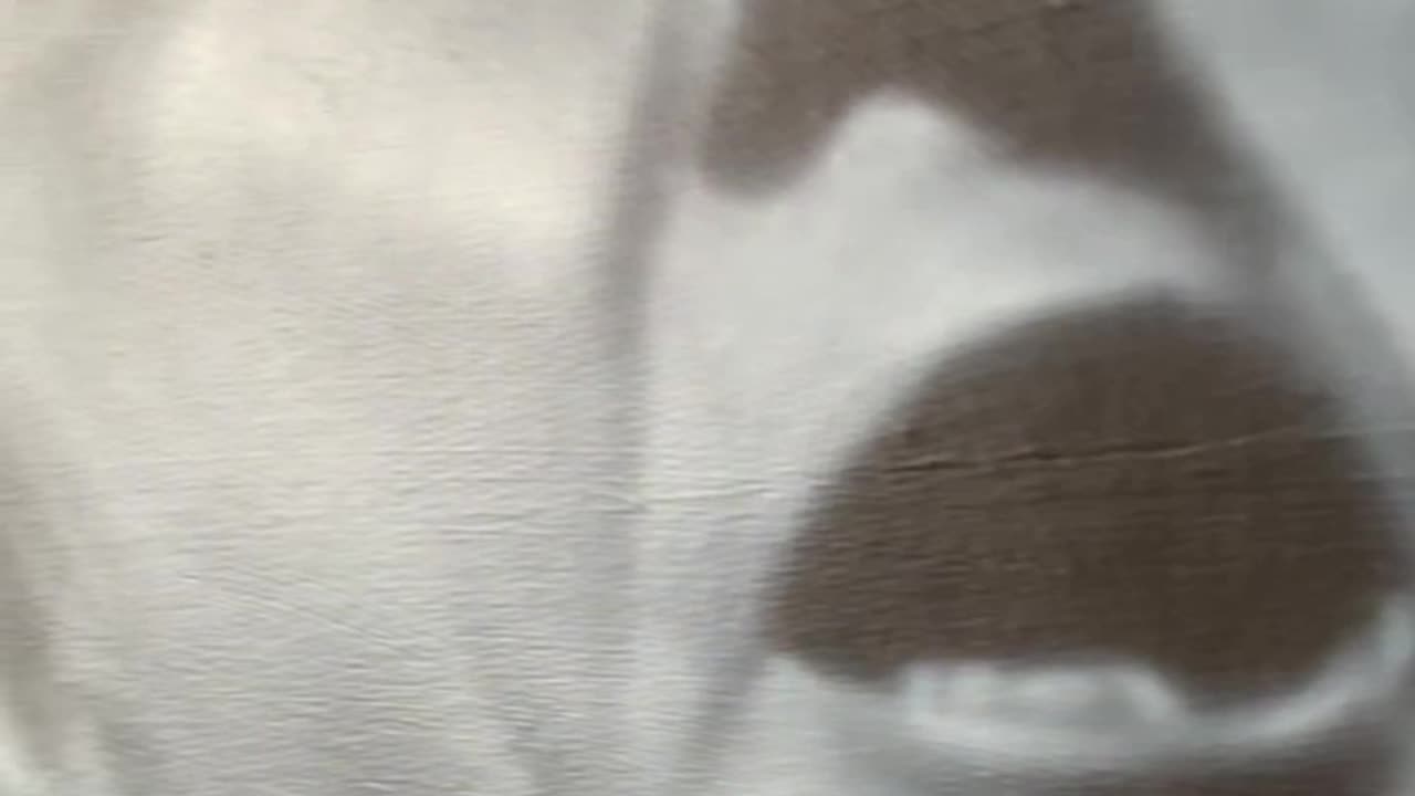 Always stand up in what you believe Linktr.ee/damianhejdukart