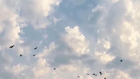 Nature videos reel reels Viral videos