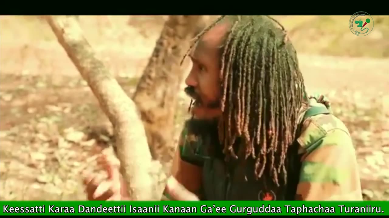 Qophii Humna Weelluu ONM-ABO Fulbaana 24-2025 itti dhiyaadhaa!