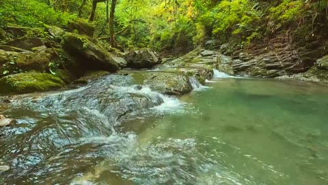 Nature Sounds: Relaxing Sounds of Mountain Stream in the Forest | for Sleep and Meditation