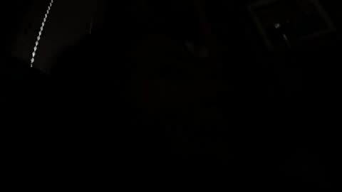 Cestui Que Vi Trust ~ talk with one of my American Law mentors